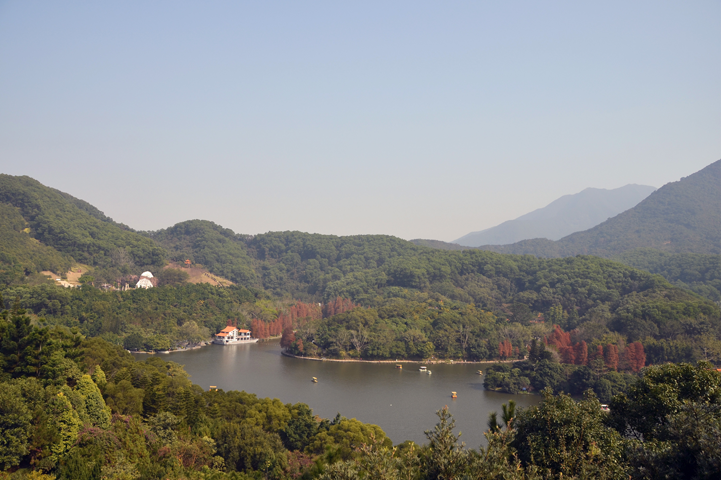 仙湖植物园